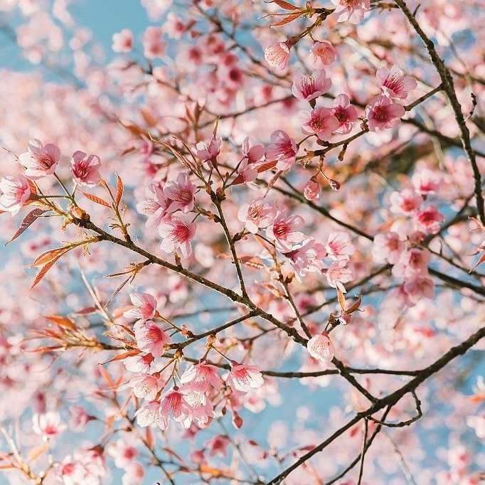 آهنگ جدید  انگار نیمه ای از من نیستو نیست
